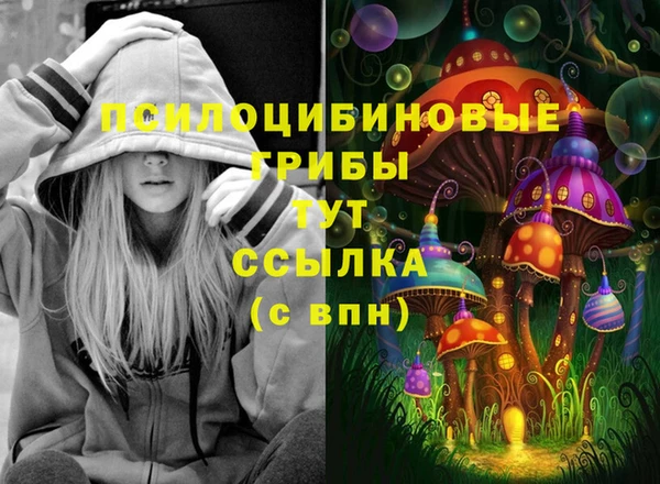 ПСИЛОЦИБИНОВЫЕ ГРИБЫ Беломорск