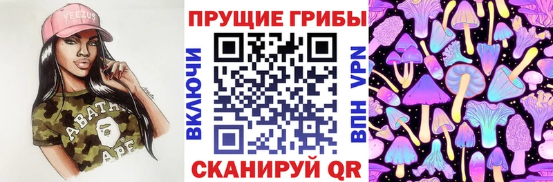 Псилоцибиновые грибы Cubensis что такое Верхняя Тура
